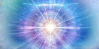 La Création : Comment Cela Fonctionne Maintenant